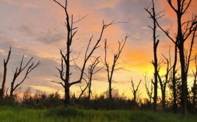 生物質(zhì)能資源數(shù)據(jù)庫(kù)信息系統(tǒng) 賦能綠色能源發(fā)展的數(shù)字基石